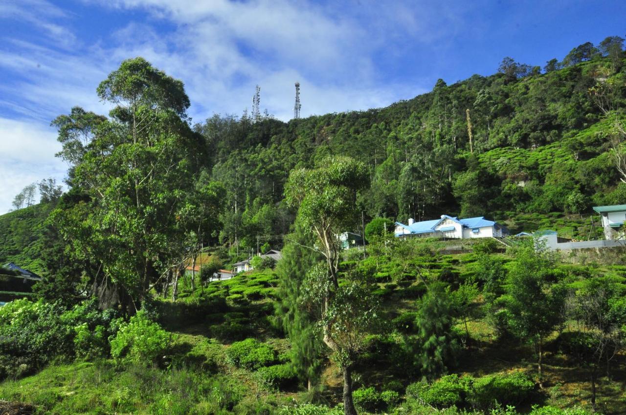 Summer Glow Guest - Nuwara Eliya Buitenkant foto
