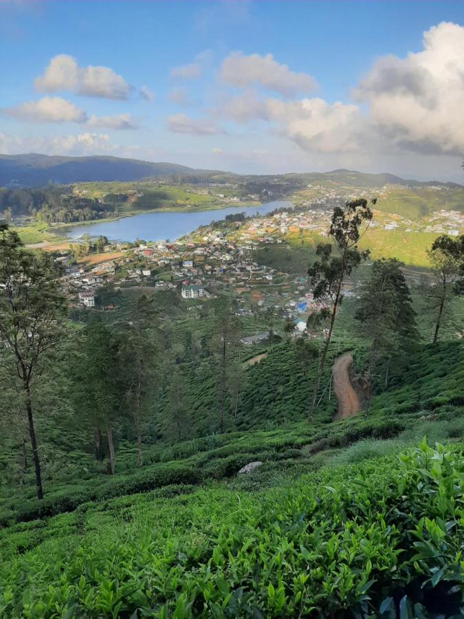 Summer Glow Guest - Nuwara Eliya Buitenkant foto